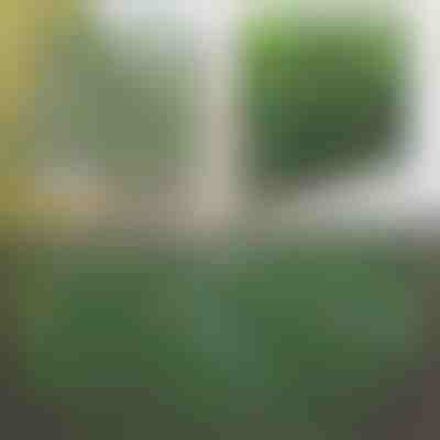 Dekoratívny a praktický plot pre terasu a záhradu | GREENFENCE